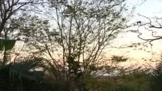 AOTWCostaRica2830 Vimeo SD