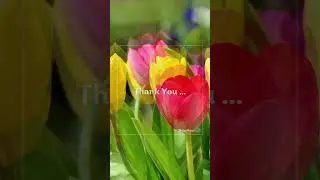 Funeral Thank You Message