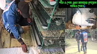 শীত ও শেষ এখন আমাদের কোয়েল পাখিও শেষ হবে। 🐦