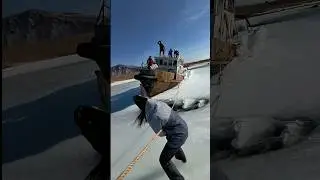Нашли брошенные буксиры