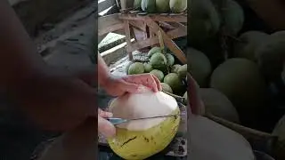 Coconut cutting skills fruit #fruit #fruitcutting #durian #watermelon #fruits #coconut