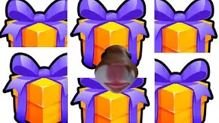 I opened all my gifts In Pet Sim 99