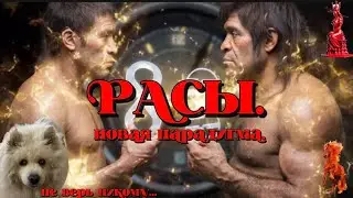 РАСЫ.Новая парадигма.Клинальная изменчивость. Молекулярные часы. #расы#клинальная_изменчивость#