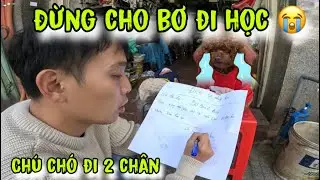 Bơ bánh bèo nhập học mẫu giáo | chú chó đi hai chân