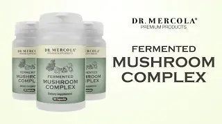 Dr. Mercola's Fermented Mushroom Complex