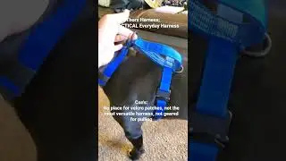 Thor's Gear: K9-Tactical Everyday Harness