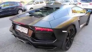 ACD Lamborghini Aventador Review and Loud Revs