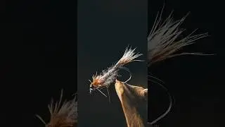 You need this NYMPH if you want to catch MORE FISH! #flytying #flyfishing #trout