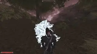Gothic II Gold: how to get free runes
