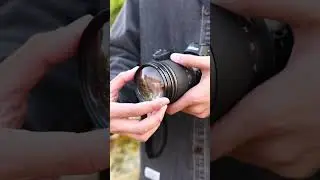 Step into the crazy micro world with JJC Macro Filter in 2025#shorts#jjc#macrophotography#macrolens