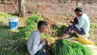 Pushpa Se Danda Bhaut Majaa Aaata Pushpa 4K edit #pushpa2therule​ #shortsfeed​ #ytshorts​ #trending​