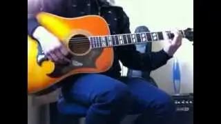 The Front Bottoms - Skeleton Acoustic Guitar Cover