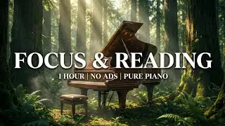 FOCUS & READING &mdash; 1 Hour Pure Piano &mdash; No Ads | Deep Concentration Music