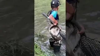 Salmon Season 2023 Bowmanville Creek, Ontario