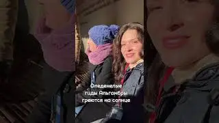 Зима в Гранаде, вообще-то, теплая, но утром лучше одеваться по-зимнему😜#испания #гранада #альгамбра