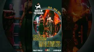 BRAIN HOLIDAYS at ROOTS IN THE WOODS 24
