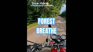 When the Forest Breathes in Silence🇯🇵| CZ 350 Airflow Ride #SlowRideWorldwide #2stroke #JawaSound