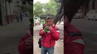 Guy plays MUSIC on a LEAF in PUBLIC (glaggleland theme leaf guy)