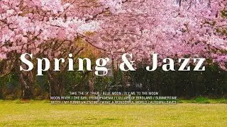 Playlist l 🌸 벚꽃을 기다리며 듣는 재즈ㅣSpringtime Street & Smooth Jazz Music for Work, Study, Focus