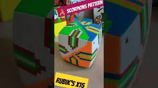 #rubikscube #puzzlelovers #cube #patterns #scorpion #scorpio