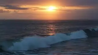 Relaxing Ocean Waves for Baby Sleep / White Noise / 10 h Black Screen for Sleep, Study & Relaxation