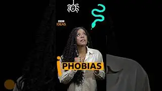 Why do we have phobias? #bbcideas #phobia #neuroscience