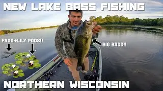 Fishing a NEW Lake for BIG Summer Bass with the Topwater Frog-Early Morning Action (8-17-2025)