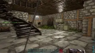 #21 ARK 