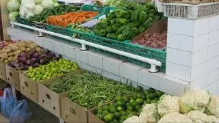 Top Small Business Ideas for Oman in 2024