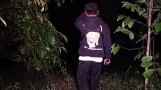 pencarian  permana official dalam bahaya