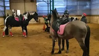 Катаемся на лошадях и ухаживаем за ними.