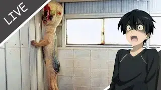 Live do Medo - SCP:Labrat
