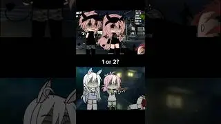 1 or 2? 