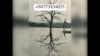 Natural beauty of #srilanka #europe #australia #canada #usa #japan #china #india 