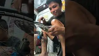 Ceramic bering ang gusto ni idol ipakabit sa hub nya na HOPE pro4