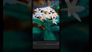 nature flower photo editing // tutorial video #shorts #viral #flowers #reels #trending