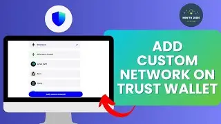 How to Add Custom Network on Trust Wallet (2024)
