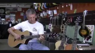 Breedlove Pro Series Guitar, Wolfe Guitars