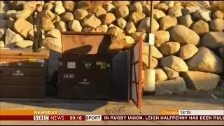 Baby bear rescue in California (USA) - BBC News - 21st November 2018