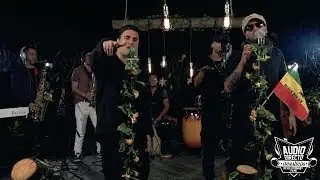 Movimiento Original - Preparao - acústico [Audio Directo]