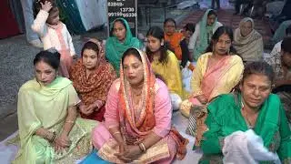 Mela🧿2025-nov-22🍀miya baggu shah baggee sher  Sunny enclave✨dhillwan, rama mandi. Jalandhar. 🍀Part-1