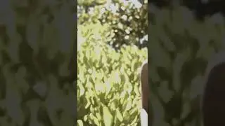 купальников микро бикини высокие девушки модели фигура #shorts  #тренды