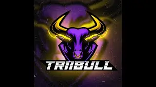 OpTic Triibull?! Streets KOTH DOMINATION