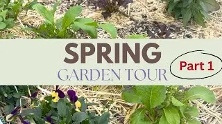 Spring Garden Tour: See What&rsquo;s Growing