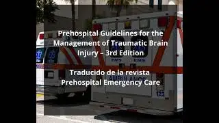 ingresa al blog para leer las gu&iacute;as de Lesi&oacute;n cerebral traum&aacute;tica 2023
