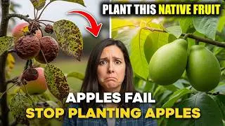 Why Apple Trees FAIL for Most Home Gardeners (And This Native Fruit NEVER Does)