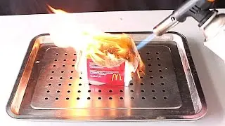 BIG MAC VS GAS TORCH