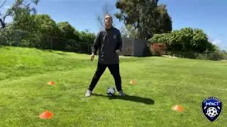 Skill Work  &ldquo;FOUNDATIONS&rdquo; -- La Jolla Impact -- Video Coaching Series