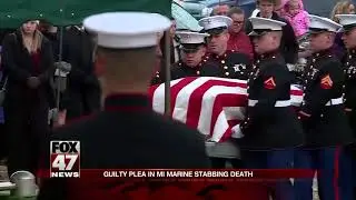Guilty plea in MI marine stabbing death