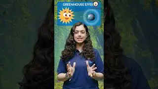 Do You Know? |  Colorless Odourless Gas | Greenhouse Effect, Praadis Education NEET #greenhouse #gas